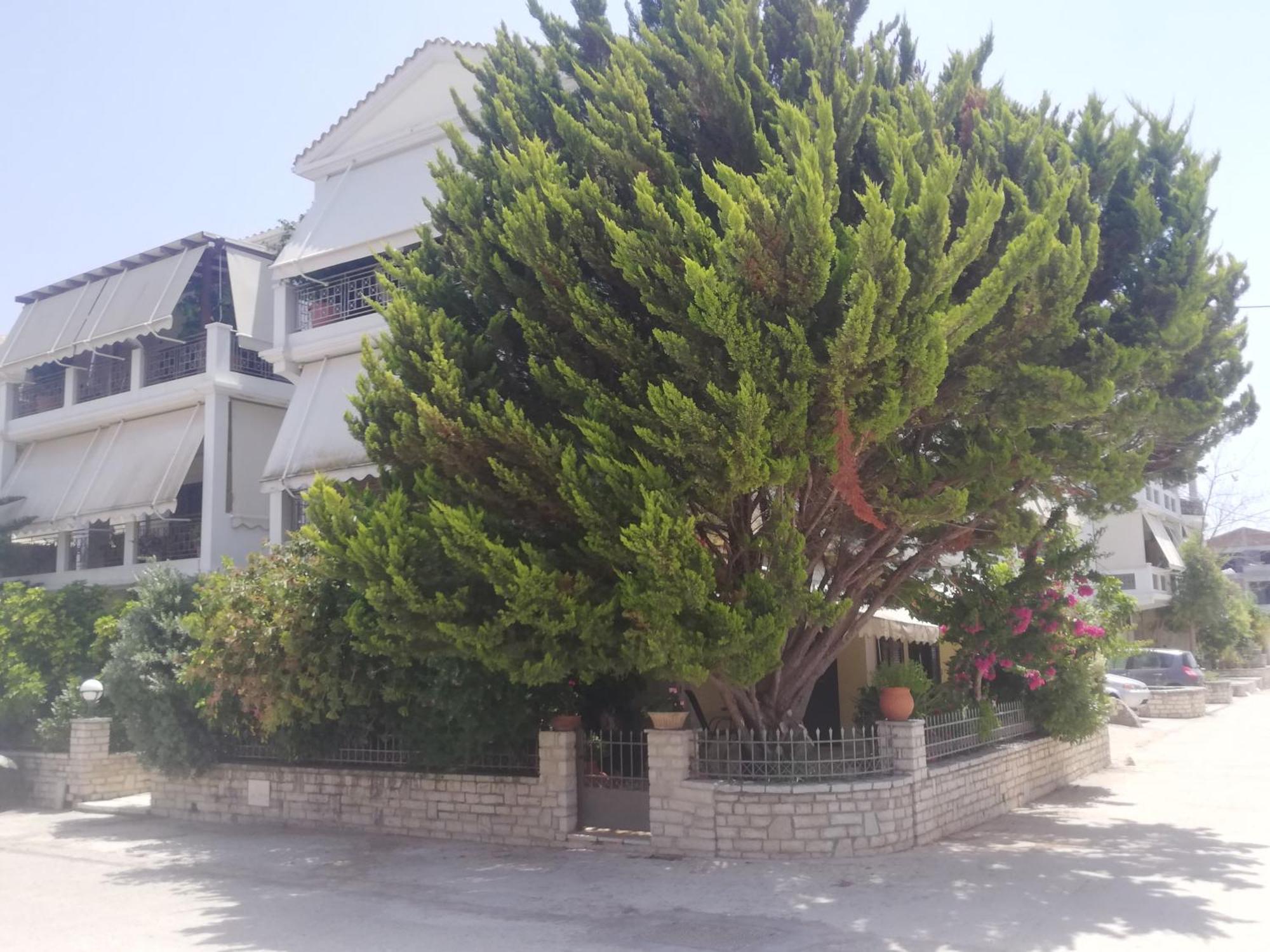 Vkastri Lefkada City